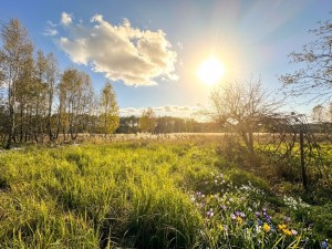 не визначена (с. Почепин, Макаровский район) - Продається ділянка під забудову, 43000 $ - АФНУ