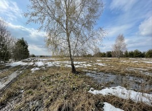 не призначена (с. Михайловка-Рубежовка, Киево-Святошинский район) - Продається сільськогосподарська ділянка, 25000 $ - АФНУ