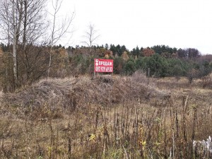 Фасадна (с. Олеевка, Житомирский район) - Продається коммерційна ділянка, 160000 $ - АФНУ