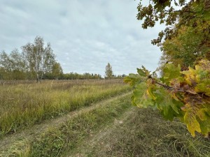 не призначена (с. Михайловка-Рубежовка, Киево-Святошинский район) - Продається сільськогосподарська ділянка, 25000 $ - АФНУ