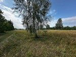 не призначена (с. Михайловка-Рубежовка, Киево-Святошинский район) - Продається сільськогосподарська ділянка, 25000 $ - АФНУ