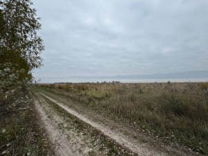 не призначена (с. Михайловка-Рубежовка, Киево-Святошинский район) - Продається сільськогосподарська ділянка, 16000 $ - АФНУ