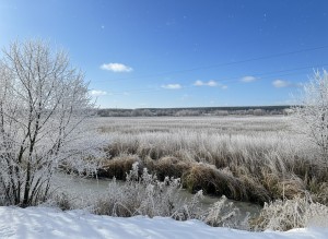 не призначена (г. Ирпень) - Продається сільськогосподарська ділянка, 30000 $ - АФНУ