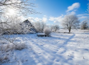 ул. Шевченка, 27 (с. Мироцкое, Киево-Святошинский район) - Продається ділянка під забудову, 15500 $ - АФНУ