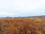 ул. Городня (с. Лесовые Гриновцы, Хмельницкий район) - Продається сільськогосподарська ділянка, 5000 $ - АФНУ