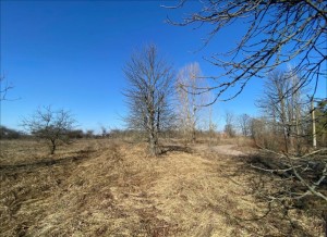 вул.Каштаноа (с. Мироцкое, Киево-Святошинский район) - Продається ділянка під забудову, 9000 $ - АФНУ