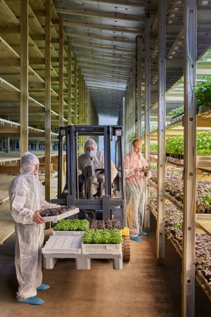 ул. Дружби (с. Небелица, Макаровский район) - Продається промисловість, 400000 $ - АФНУ