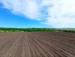 Строймашина (г. Хмельницкий, Видрові доли) - Продається сільськогосподарська ділянка, 40000 $ - АФНУ