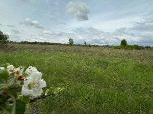 не призначена (пгт. Гостомель, г. Ирпень) - Продається сільськогосподарська ділянка, 23000 $ - АФНУ