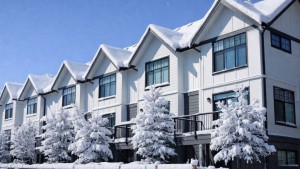 КМ Золоче (с. Вишеньки, Бориспольский район) - Продається ділянка під забудову, 100000 $ - АФНУ