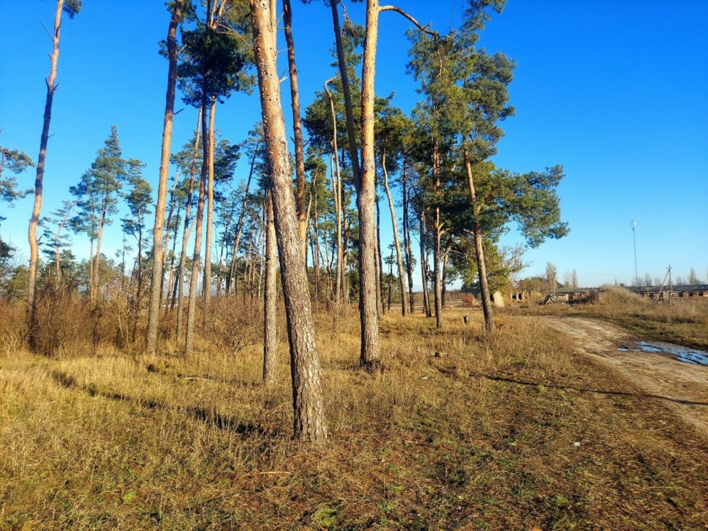 Продаж ділянок Кам'янка