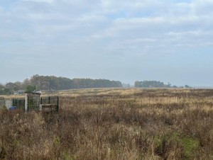 вул.Героїв Вітчизни, 14 (с. Михайловка-Рубежовка, Киево-Святошинский район) - Продається ділянка під забудову, 12000 $ - АФНУ