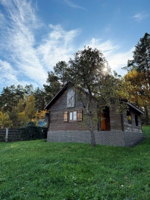 Мальовнича (с. Копачовка, Рожищенский район) - Продається будинок, 38000 $ - АФНУ