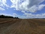 М12 (с. Червоная Зирка, Хмельницкий район) - Продається сільськогосподарська ділянка, 40000 $ - АФНУ