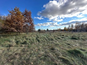 вул.Почепин (с. Почепин, Макаровский район) - Продається ділянка під забудову, 16500 $ - АФНУ