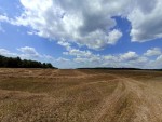 М12 (с. Червоная Зирка, Хмельницкий район) - Продається сільськогосподарська ділянка, 40000 $ - АФНУ