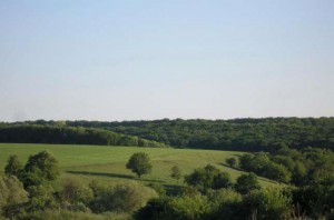 ул. Липецкая (с. Русские Тишки, Харьковский район) - Продається ділянка під забудову, 60000 $ - АФНУ