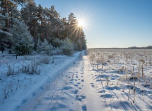 вул.Богдана Хмельницького, 38 (с. Дружня, Бородянский район) - Продається ділянка під забудову, 5000 $ - АФНУ