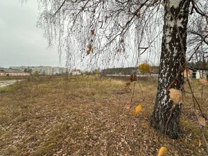 вул.Моторна, 4 (пгт. Новогуйвинское, Житомирский район) - Продається ділянка під забудову, 8000 $ - АФНУ