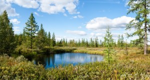 ул. Пацаева (г. Черкассы, Приднепровский район) - Продається сільськогосподарська ділянка, 160000 $ - АФНУ