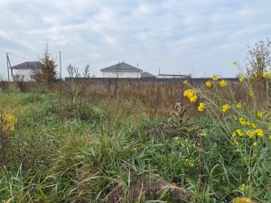 вул.Довженка, 2 (с. Михайловка-Рубежовка, Киево-Святошинский район) - Продається ділянка під забудову, 27000 $ - АФНУ