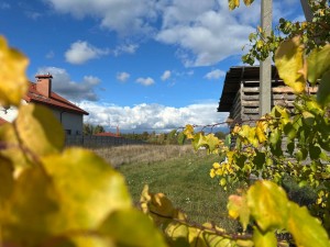 вул.Паліїв, 19 (с. Козинцы, Бородянский район) - Продається ділянка під забудову, 8500 $ - АФНУ