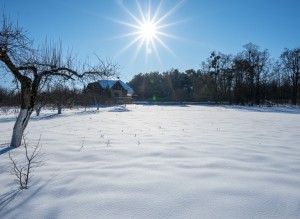 вул. Хутірська, 64 (с. Михайловка-Рубежовка, Киево-Святошинский район) - Продається ділянка під забудову, 38000 $ - АФНУ