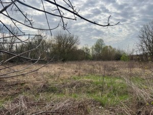 не призначена (пгт. Гостомель, г. Ирпень) - Продається сільськогосподарська ділянка, 14500 $ - АФНУ