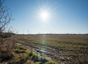 не призначена (с. Олеевка, Житомирский район) - Продається сільськогосподарська ділянка, 3200 $ - АФНУ