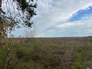 не відомо (пгт. Гостомель, г. Ирпень) - Продається сільськогосподарська ділянка, 15000 $ - АФНУ