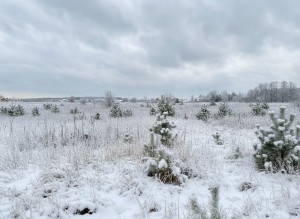 не визначена (с. Блиставица, Бородянский район) - Продається ділянка під забудову, 28000 $ - АФНУ