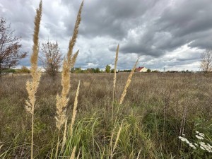 вул.Пратва, 16 (с. Блиставица, Бородянский район) - Продається ділянка під забудову, 25000 $ - АФНУ