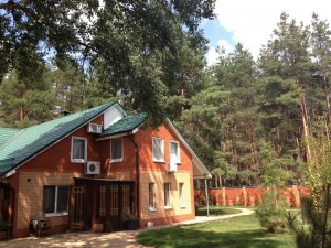 ул. Зелёная (с. Песчанка, Новомосковский район) - Продається будинок, 320000 $ - АФНУ