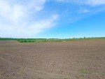 ул. Східна (с. Лесовые Гриновцы, Хмельницкий район) - Продається сільськогосподарська ділянка, 6000 $ - АФНУ