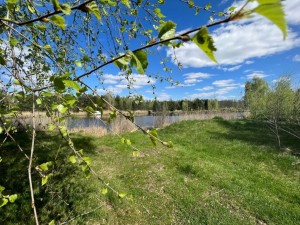 вул.Миру, б/н (с. Тарасовщина, Вышгородский район) - Продається ділянка під забудову, 12500 $ - АФНУ