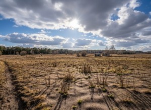 вул. Героїв Вітчизни, 26 (с. Михайловка-Рубежовка, Киево-Святошинский район) - Продається ділянка під забудову, 16000 $ - АФНУ