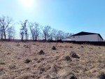 Центральна (с. Лесовые Гриновцы, Хмельницкий район) - Продається сільськогосподарська ділянка, 27000 $ - АФНУ