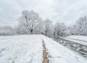 не призначена (г. Ирпень) - Продається сільськогосподарська ділянка, 104000 $ - АФНУ
