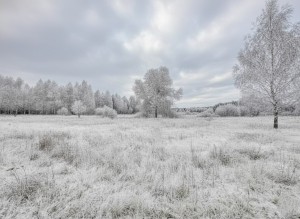 не призначена (с. Козинцы, Бородянский район) - Продається ділянка під забудову, 4500 $ - АФНУ