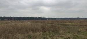 вул.Наталії Ужвій, 42 (с. Михайловка-Рубежовка, Киево-Святошинский район) - Продається ділянка під забудову, 24000 $ - АФНУ