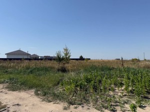 вул.Довженка, 2 (с. Михайловка-Рубежовка, Киево-Святошинский район) - Продається ділянка під забудову, 27000 $ - АФНУ