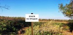 Калуське шосе (г. Ивано-Франковск) - Продається ділянка під забудову, 449500 $ - АФНУ