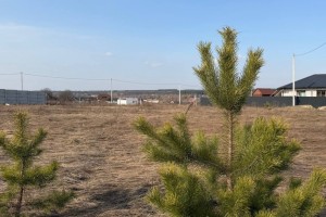 пров. Мирний, 8 (с. Мироцкое, Киево-Святошинский район) - Продається ділянка під забудову, 7000 $ - АФНУ