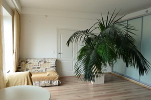 ул. Набережная В.И. Ленина, 39 (г. Днепр, Бабушкинский район) - Продається квартира, 55000 $ - АФНУ