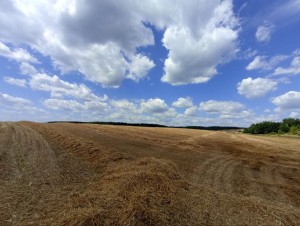 М12 (с. Червоная Зирка, Хмельницкий район) - Продається сільськогосподарська ділянка, 40000 $ - АФНУ