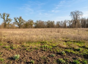 вул. Дружби (Радянська) (с. Мироцкое, Киево-Святошинский район) - Продається коммерційна ділянка, 9000 $ - АФНУ
