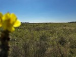 не призначена (с. Микуличи, Бородянский район) - Продається ділянка під забудову, 9000 $ - АФНУ