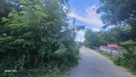 Комсомольська, 5 (с. Мотижин, Макаровский район) - Продається сільськогосподарська ділянка, 7500 $ - АФНУ