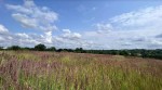 ул. Городня (с. Лесовые Гриновцы, Хмельницкий район) - Продається сільськогосподарська ділянка, 5000 $ - АФНУ