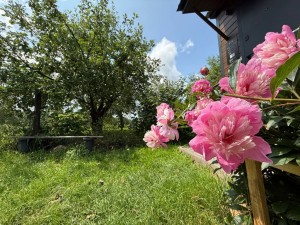 не визначена (с. Почепин, Макаровский район) - Продається ділянка під забудову, 43000 $ - АФНУ